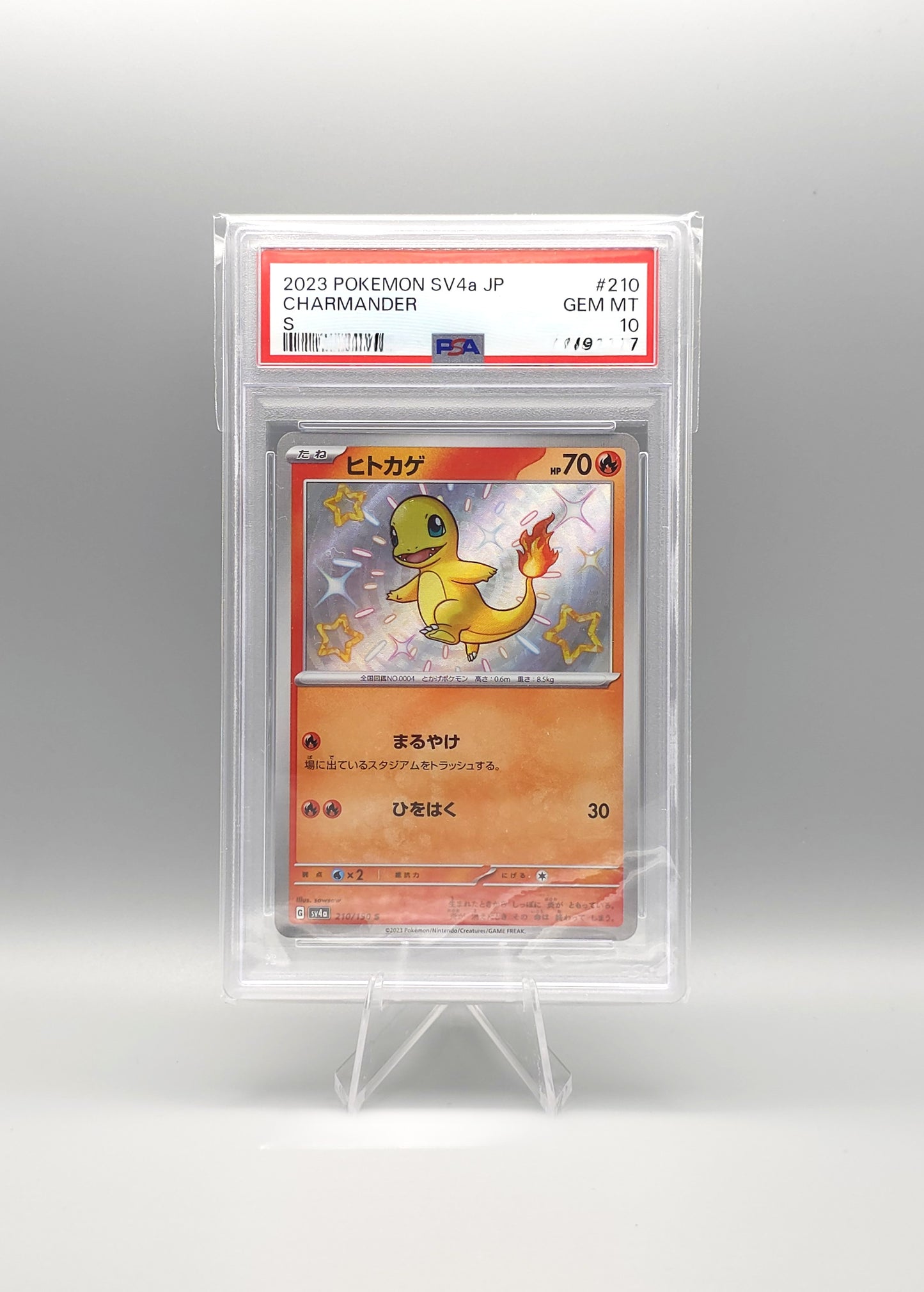 Pokemon Shiny Treasure ex | Shiny Charmander | sv4a 210 | PSA10 | Japanisch